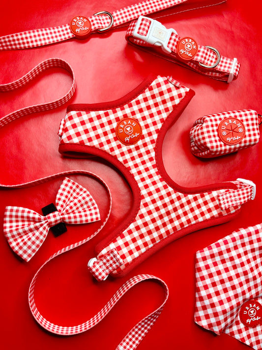 Bundle // Crimson Red Gingham