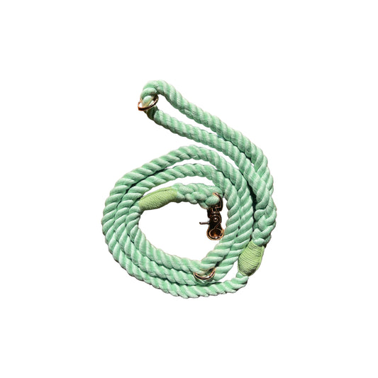 Rope Leash - Green